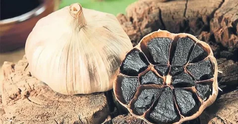 تصویر 2 از سیر سیاه گرگان فله‌ ای ستاره دخت + با قیمت مناسب